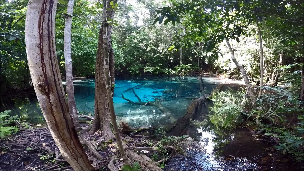 Thung Teao Forest Natural Park