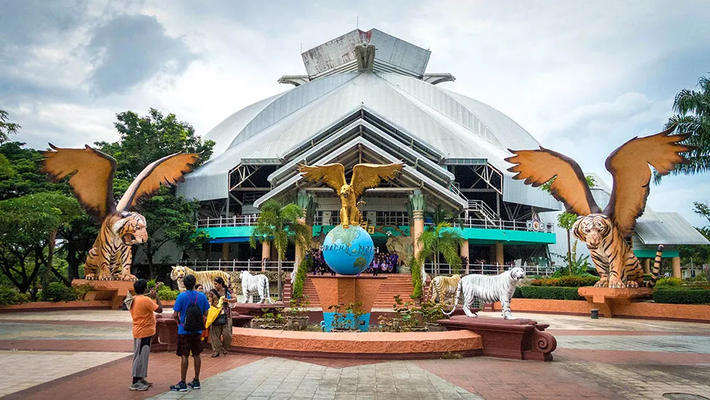 Tiger Topia Sriracha Zoo: Ticket Prices, Show Timings & Durations