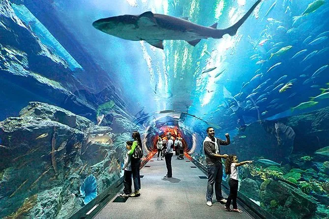 Underwater World Pattaya Ticket