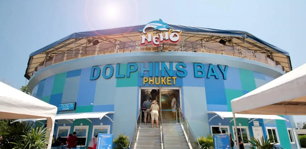Dolphins Bay Show Thailand