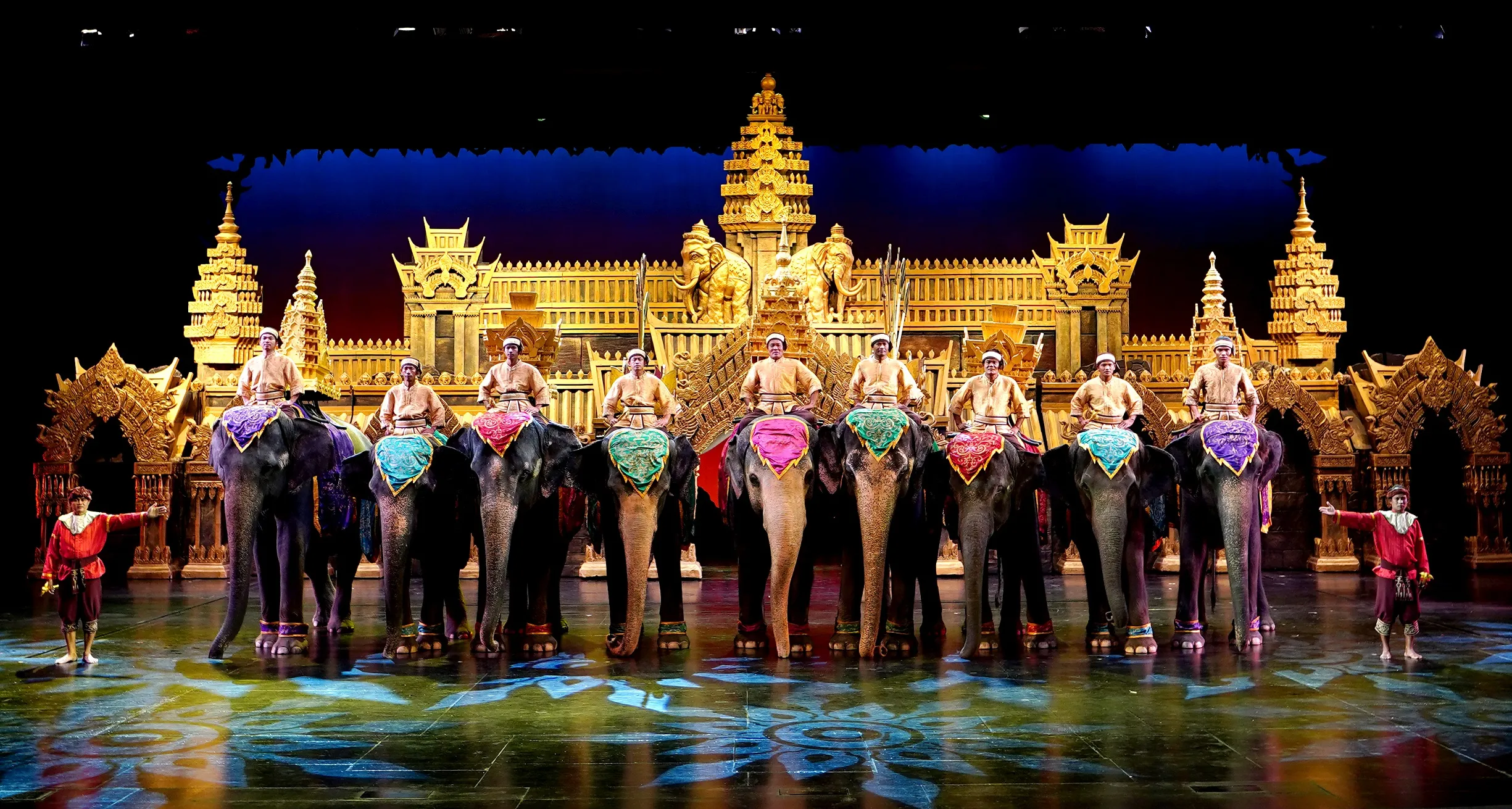 Best Night Show In Phuket