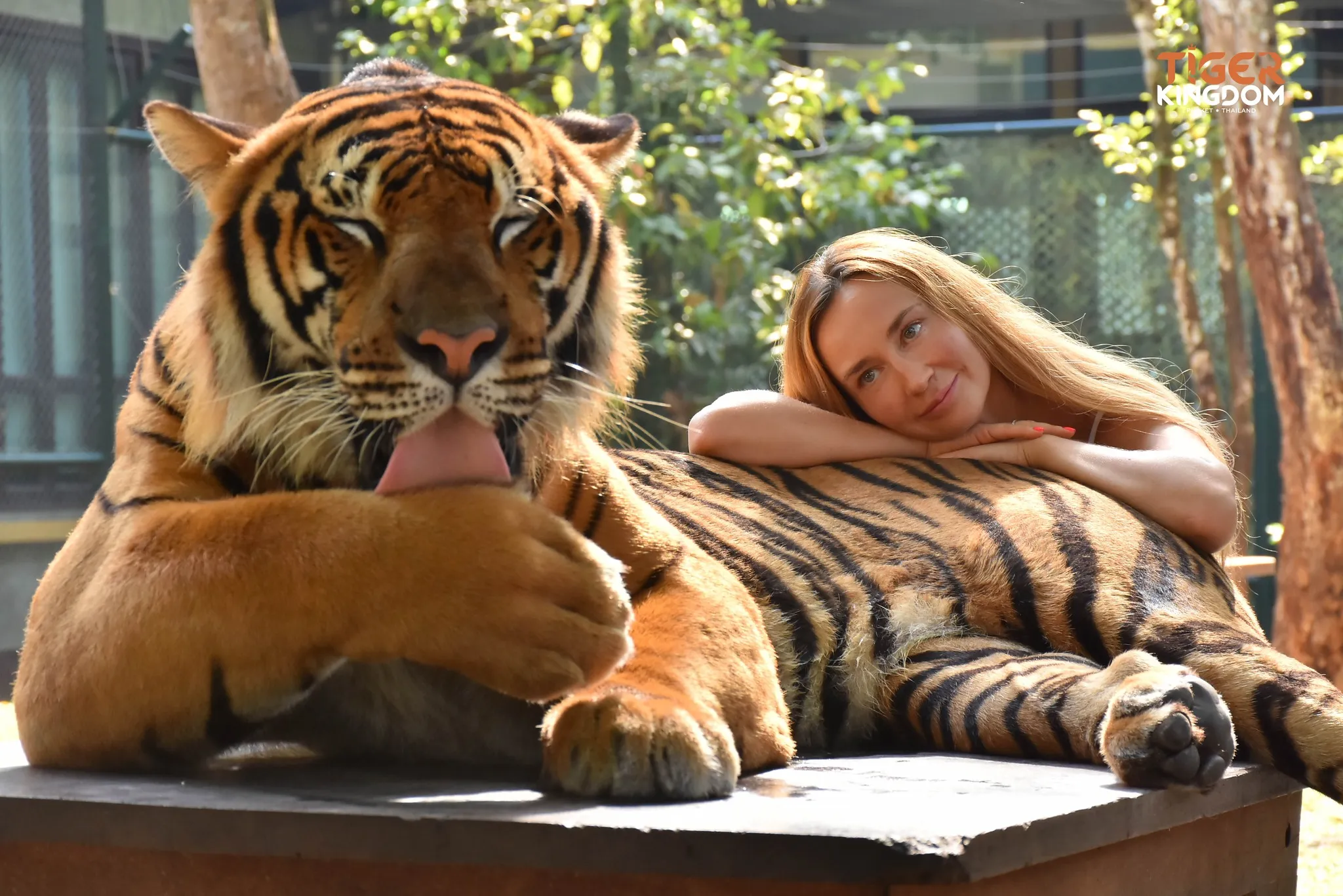 Big Cat Park Phuket