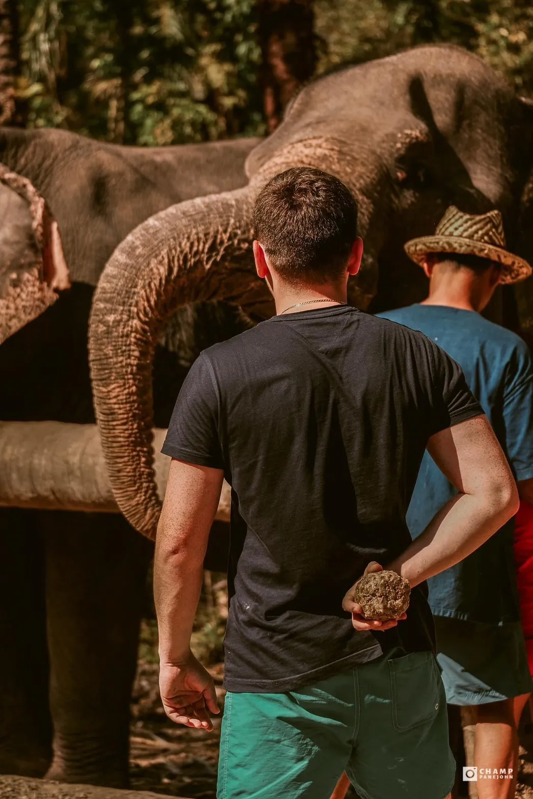 Best Elephant Sanctuary Thailand