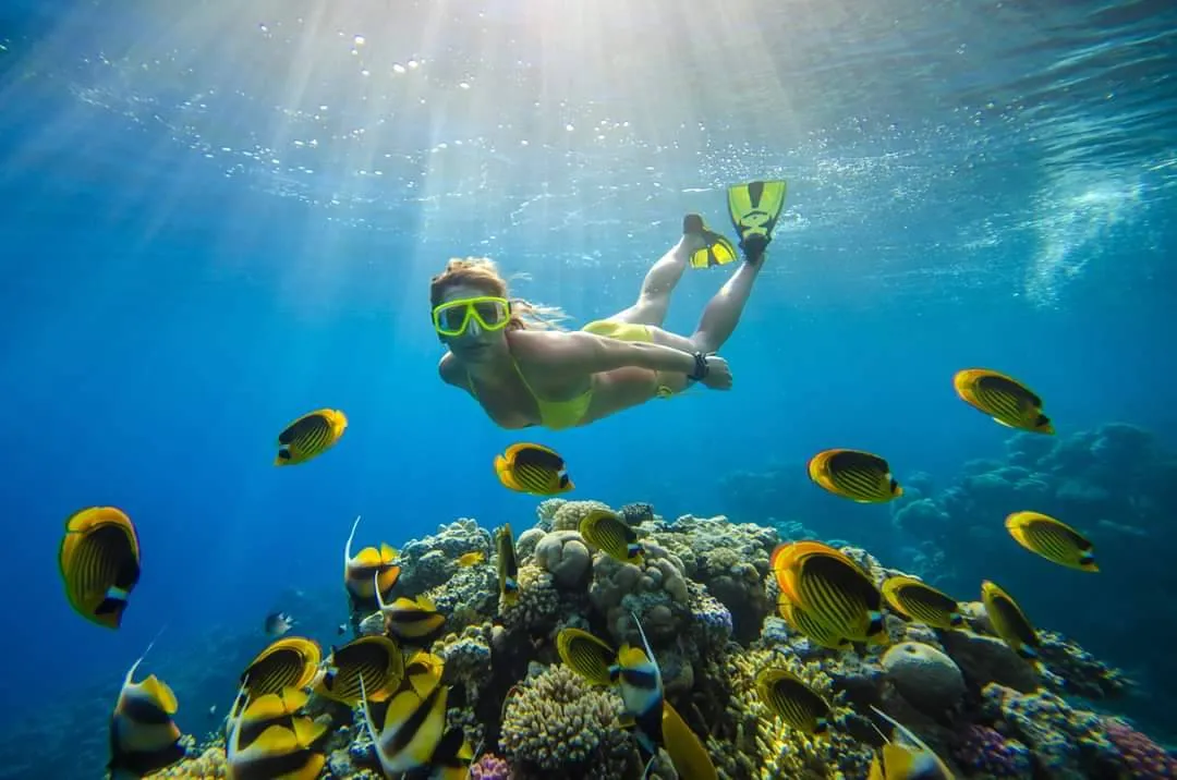 Koh Tao and Koh Nangyuan Islands Tour by Speed Boat Ticket