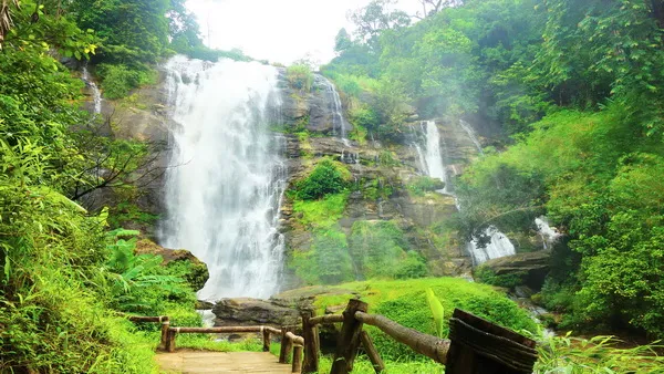 One Day Doi Inthanon National Park Ticket
