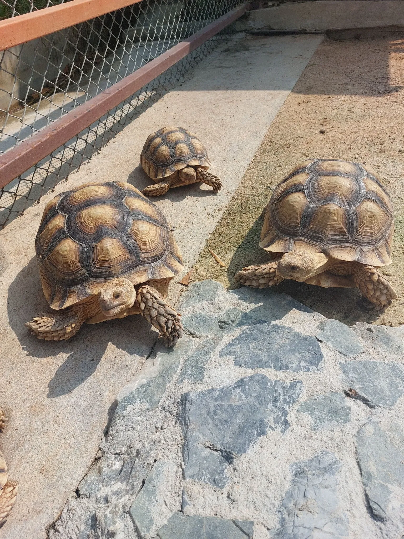 Siri Adventure Park and Zoo