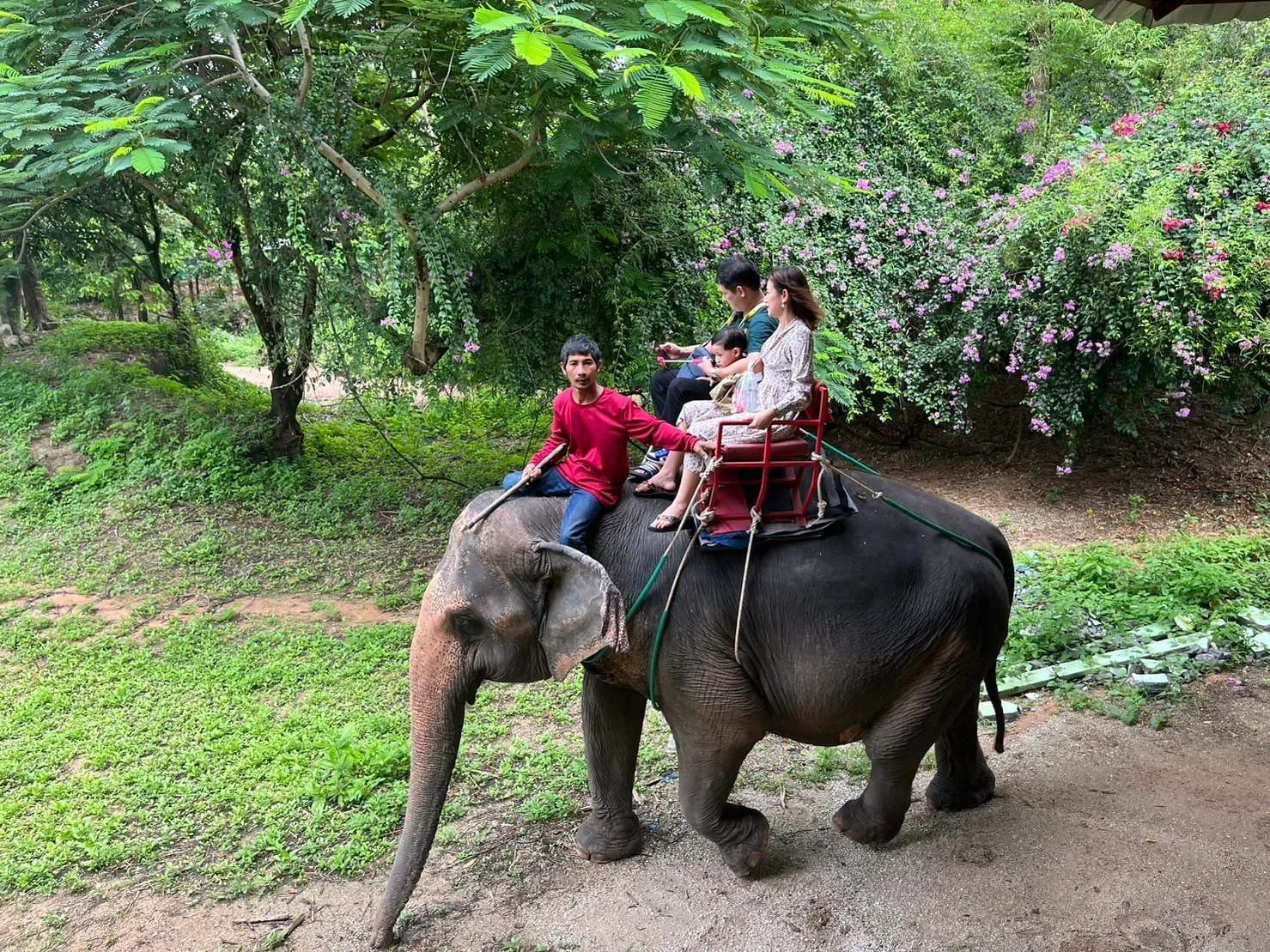 Chang Siam Krating Lai Pattaya (Family Park Pattaya Wild Section and Shooting range) Ticket