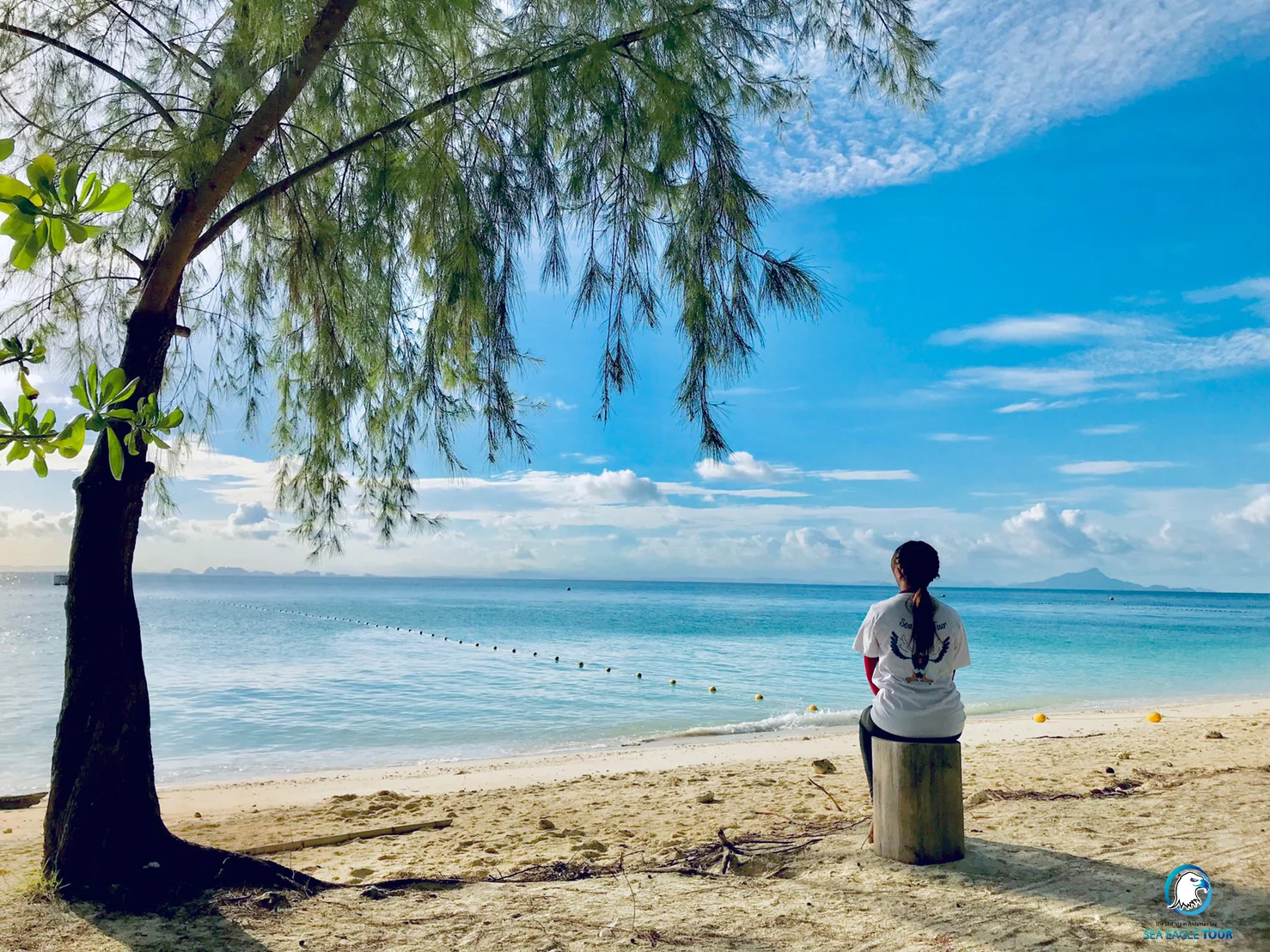 Phi Phi Island Day Tours: Unveiling Its True Allure