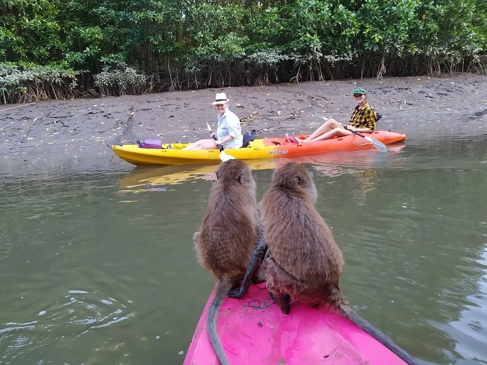 Krabi Kayak Tour