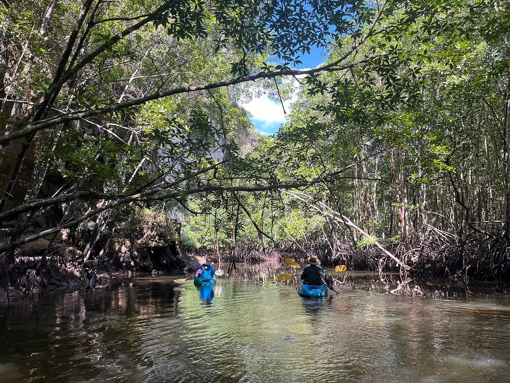 Kayaking Tour In Thailand