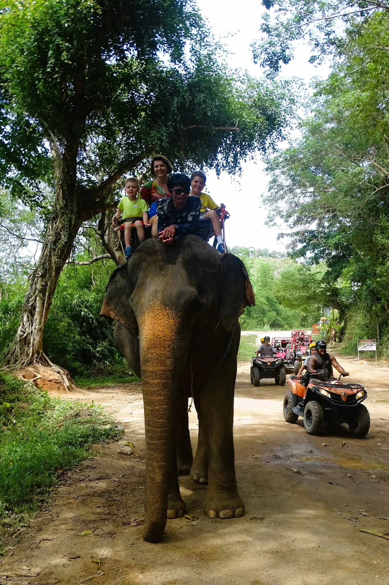 Elephant Adventure Phuket