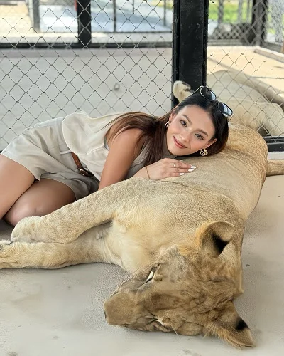 Lion Land in Phuket