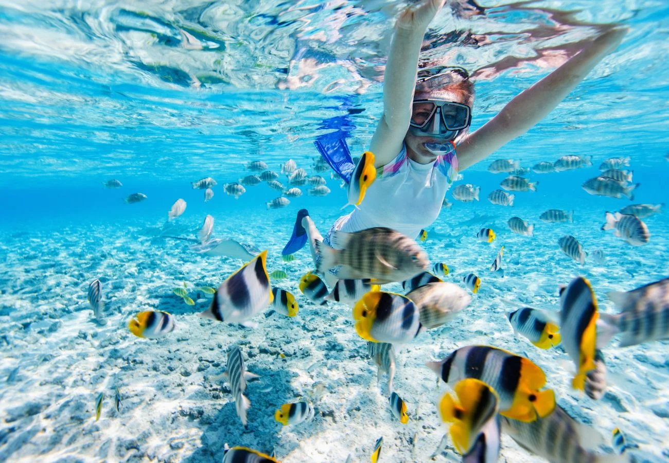 Coral Island Racha Island Boat Tour