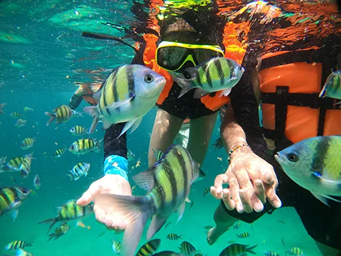 Phi Phi Island Day Tour on Boat