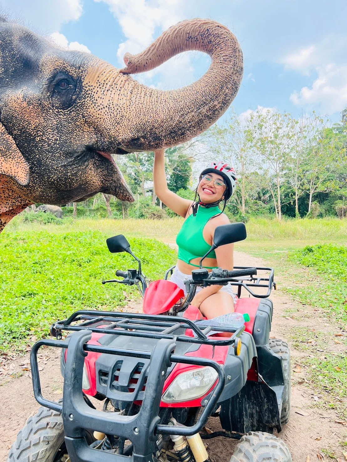 Pattaya Elephant Village and Mongchang Cafe Ticket