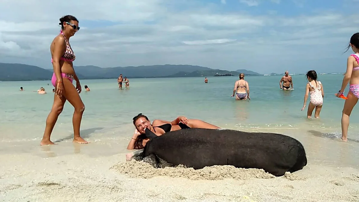 Tour To Koh Tan-Koh Mudsum Island