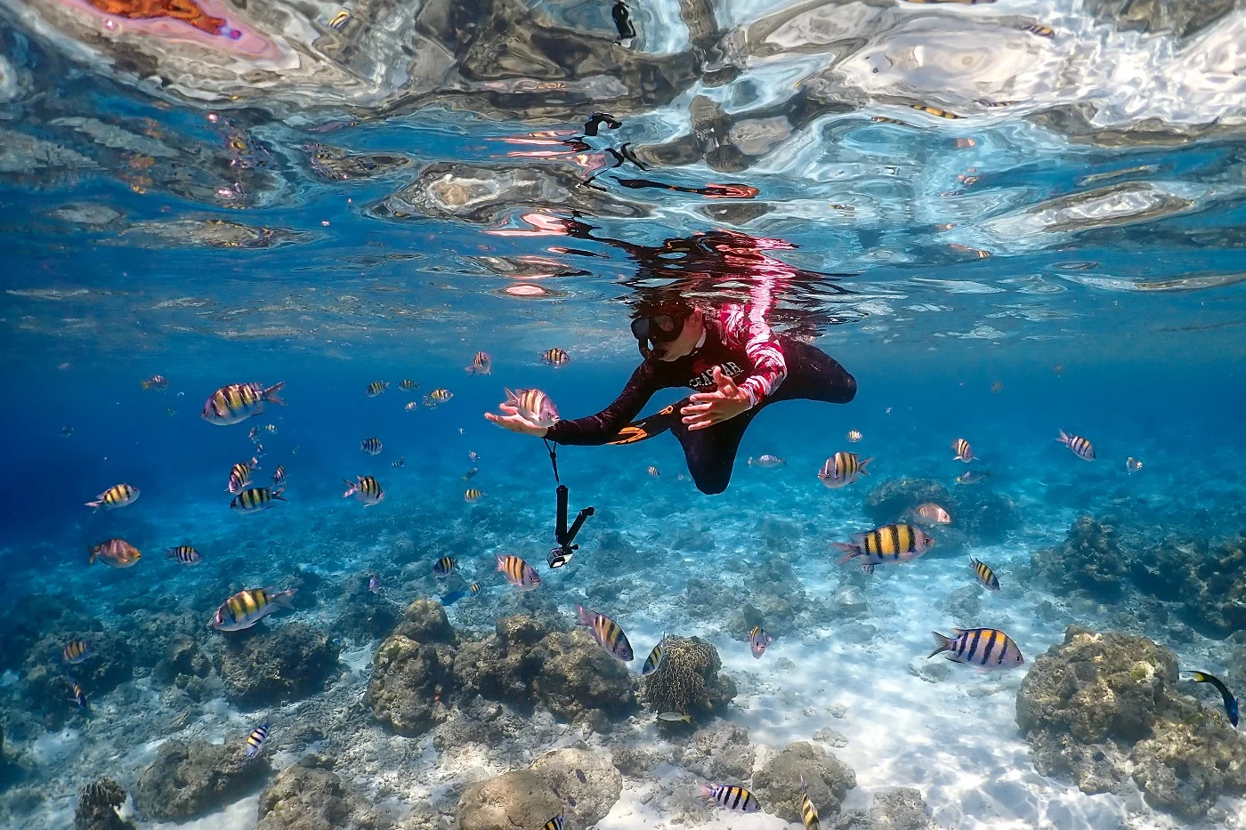 Snorkelling Tour By Speedboat