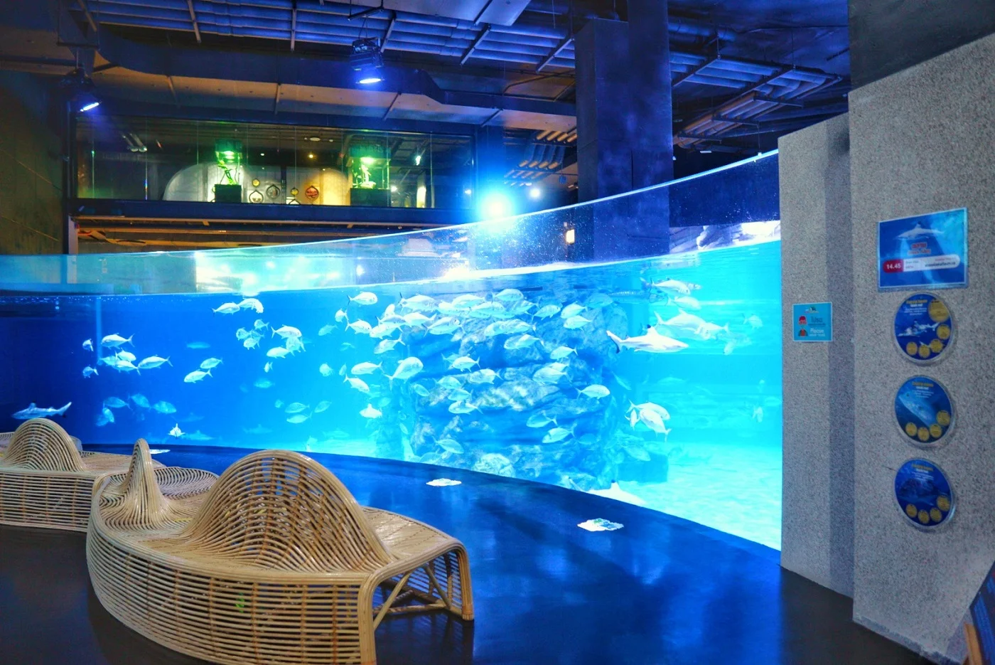 Phuket Best Aquarium
