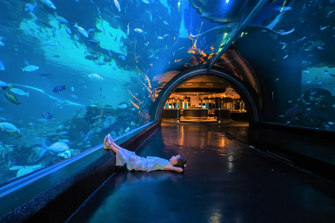 Aquaria Park Phuket