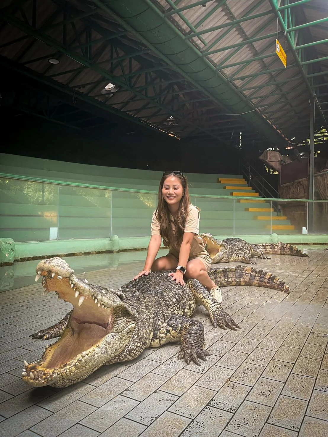 Tiger Topia Crocodile Show