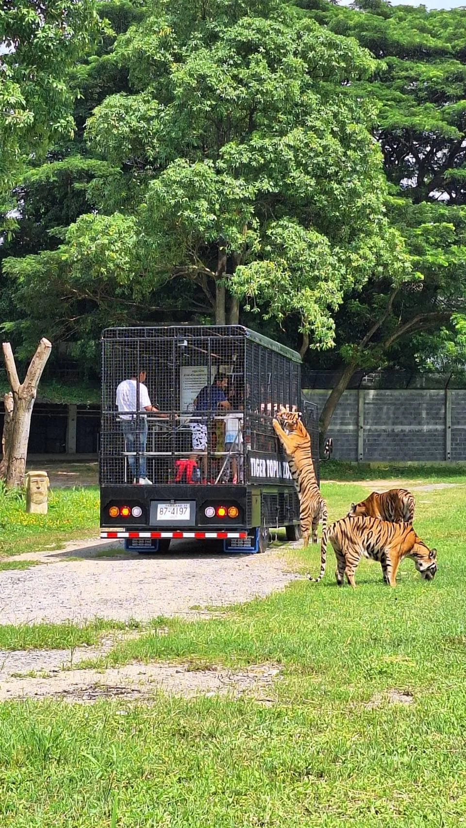 Sriracha Wildlife Zoo