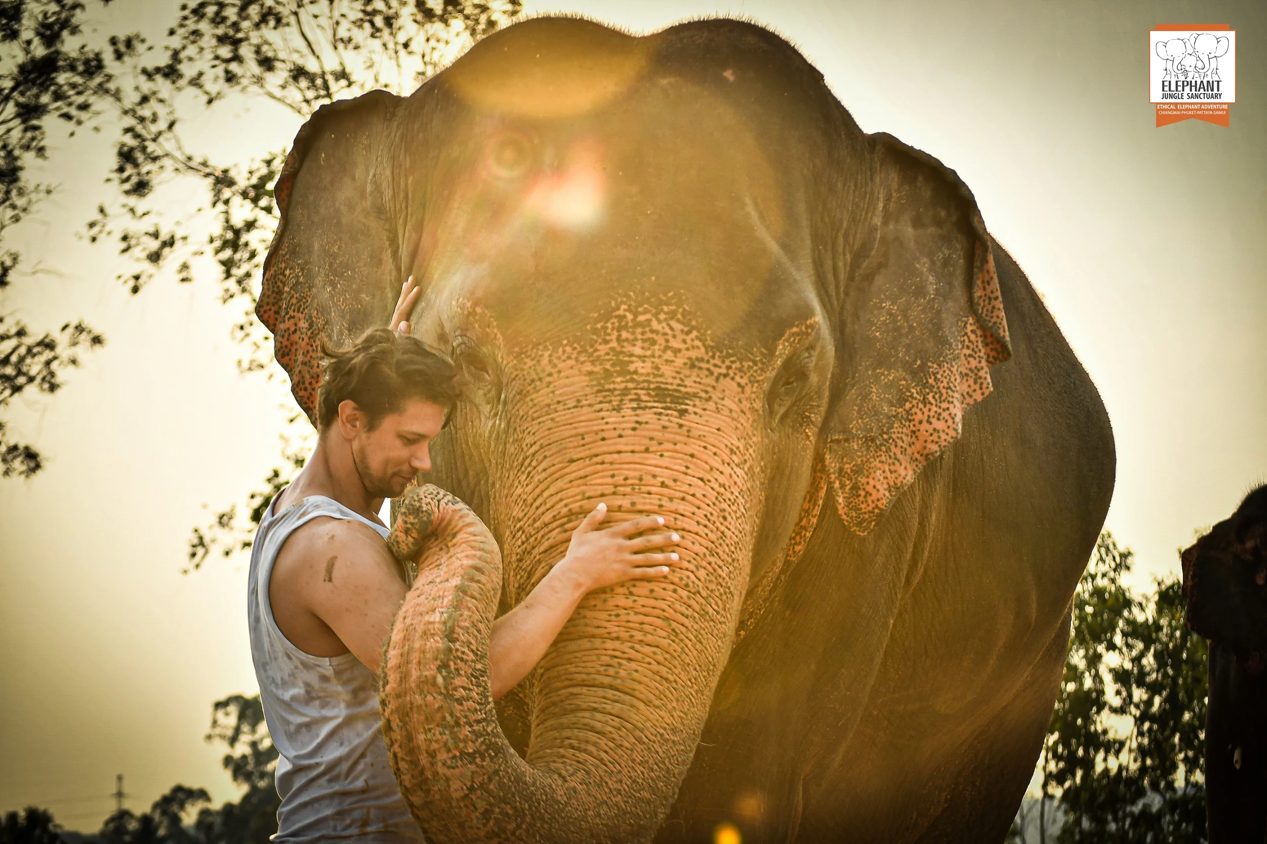 Elephant Jungle Sanctuary Pattaya Ticket