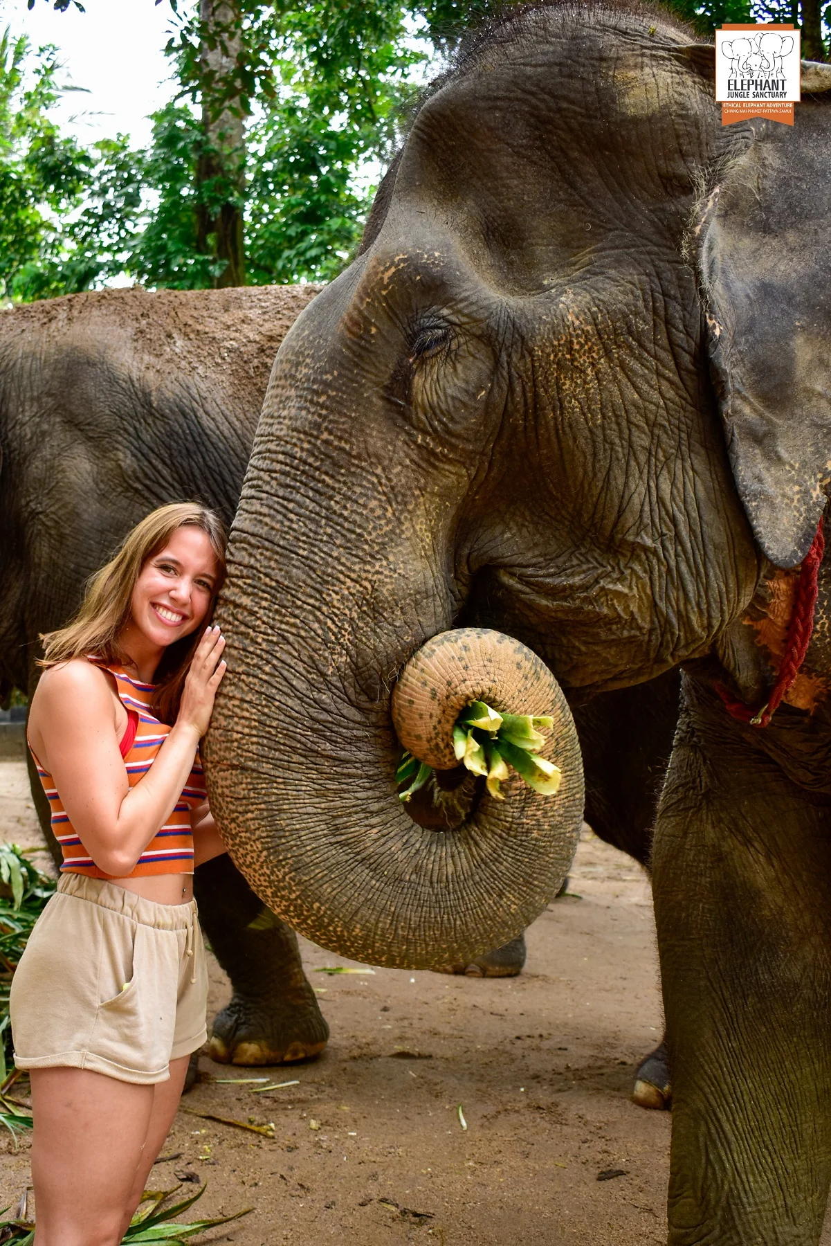 Elephant Jungle Sanctuary Tour Thailand
