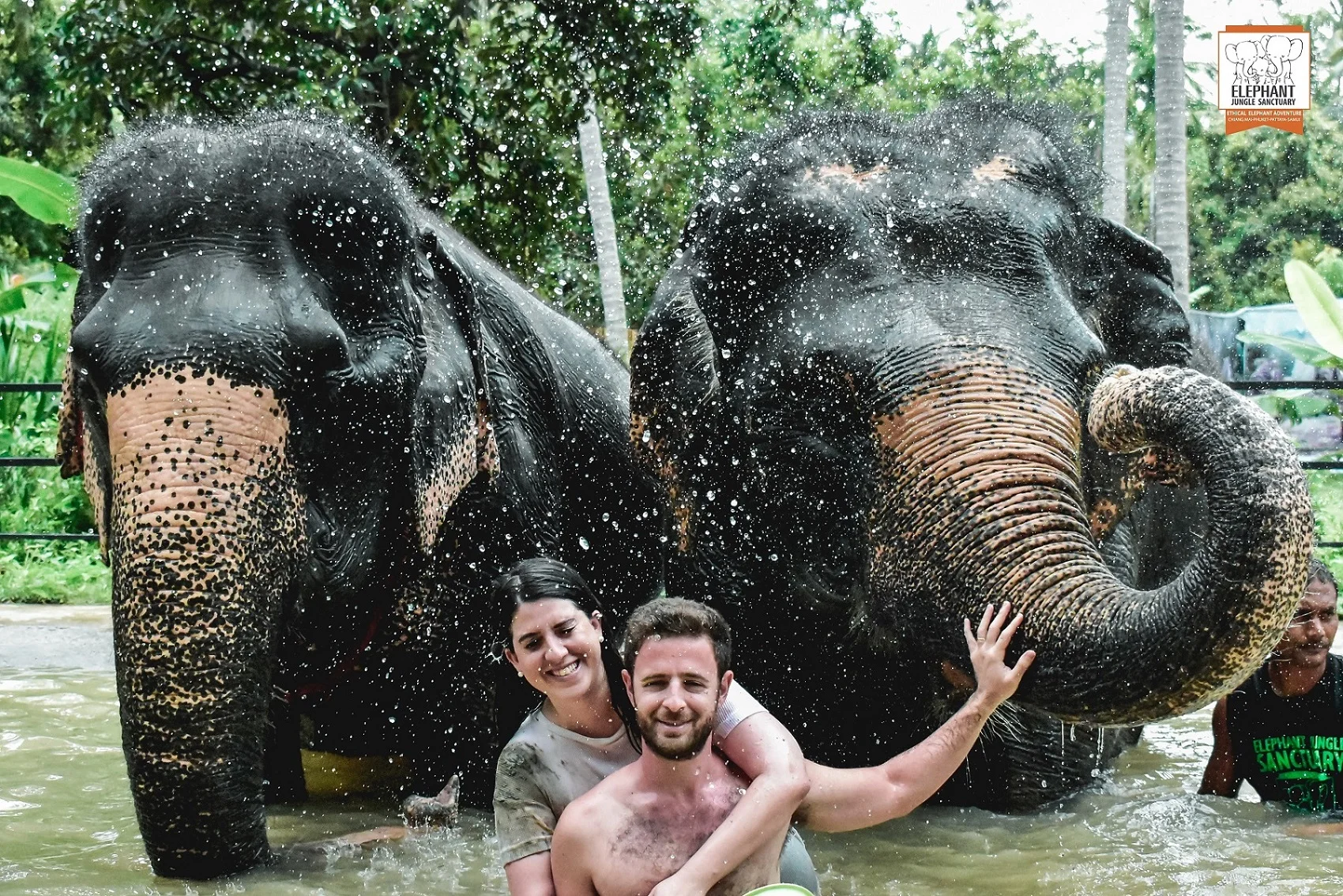 Koh Samui Elephant Jungle Sanctuary