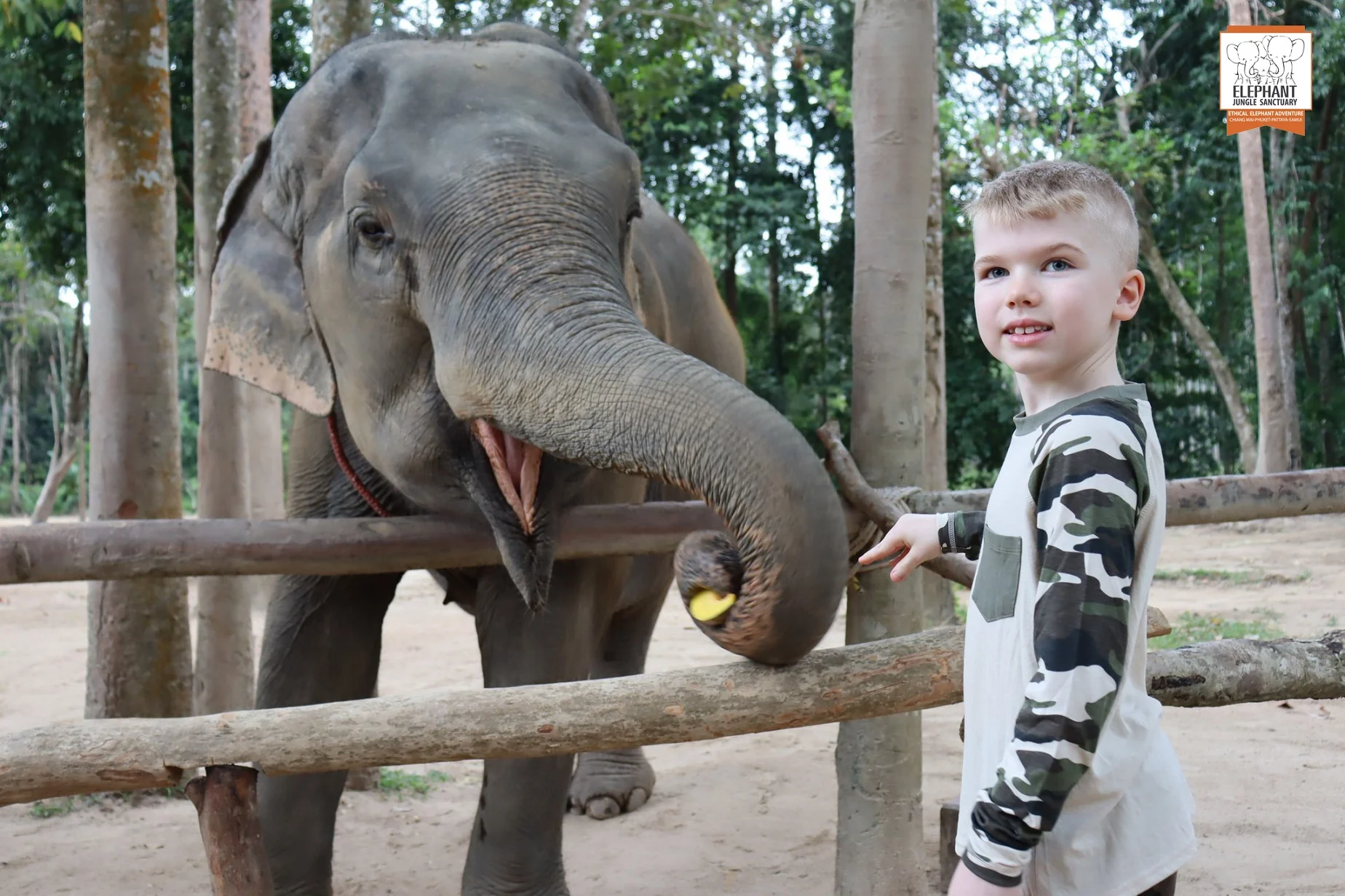 Elephant Sanctuary Koh Samui