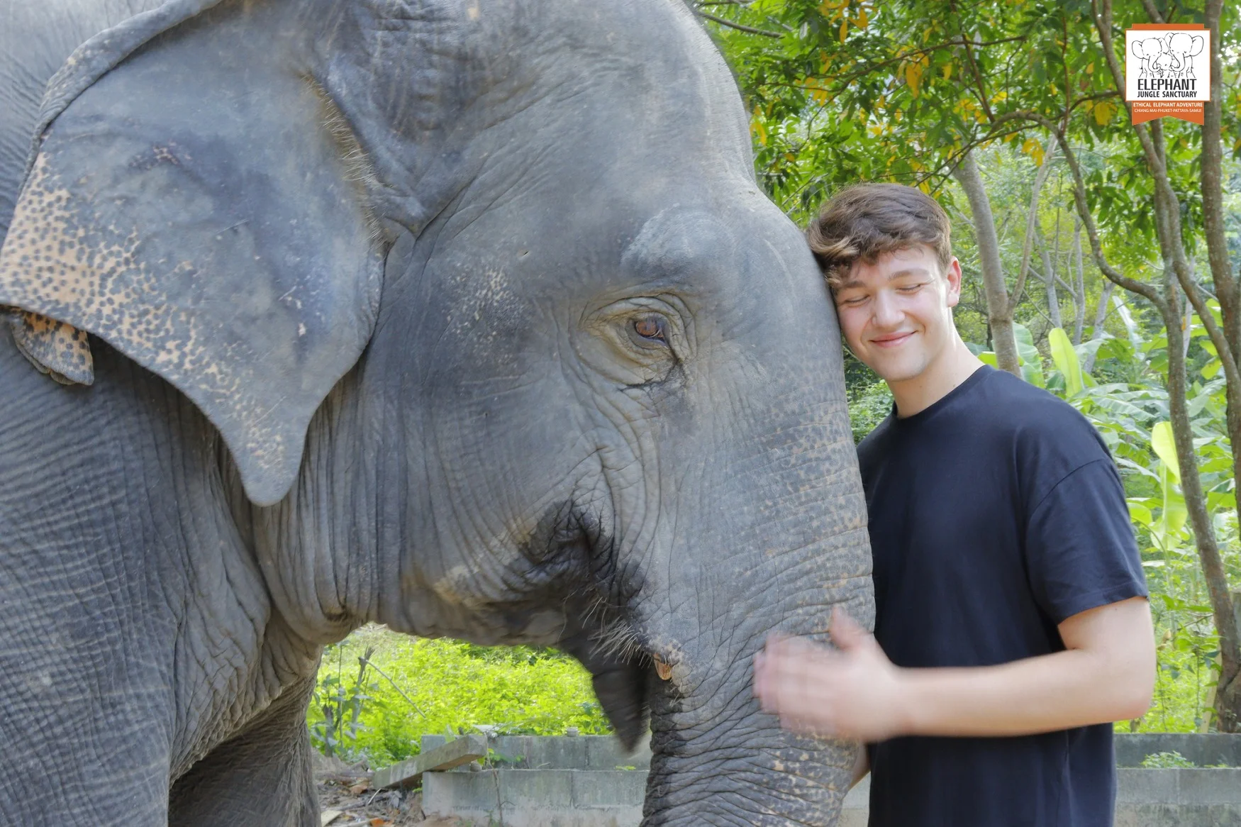 Elephant Tour Thailand