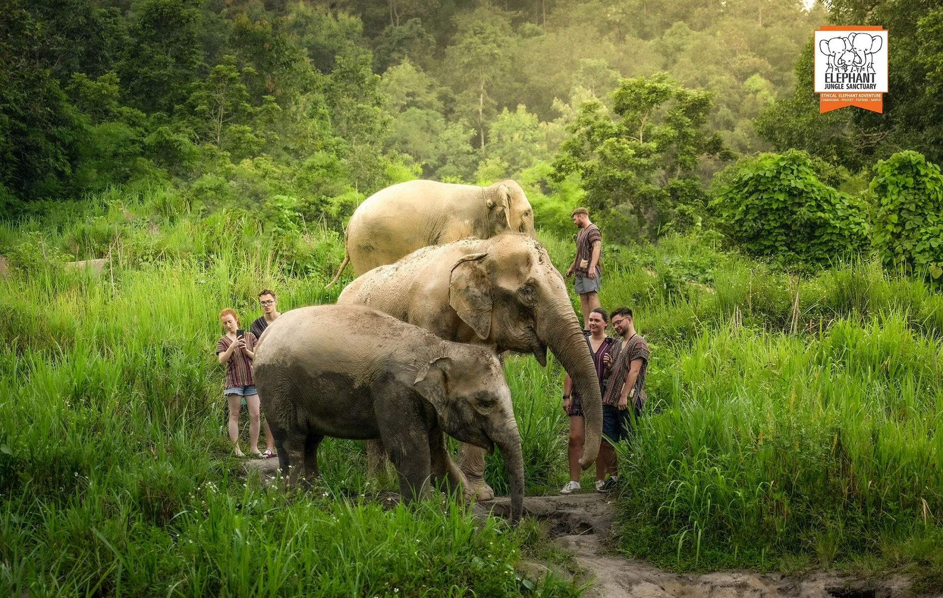 Elephant Jungle Sanctuary Chiang Mai Ticket