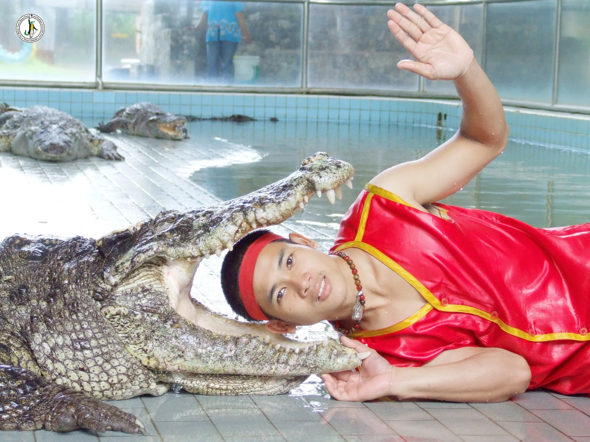 Best Crocodile Farm In Pattaya
