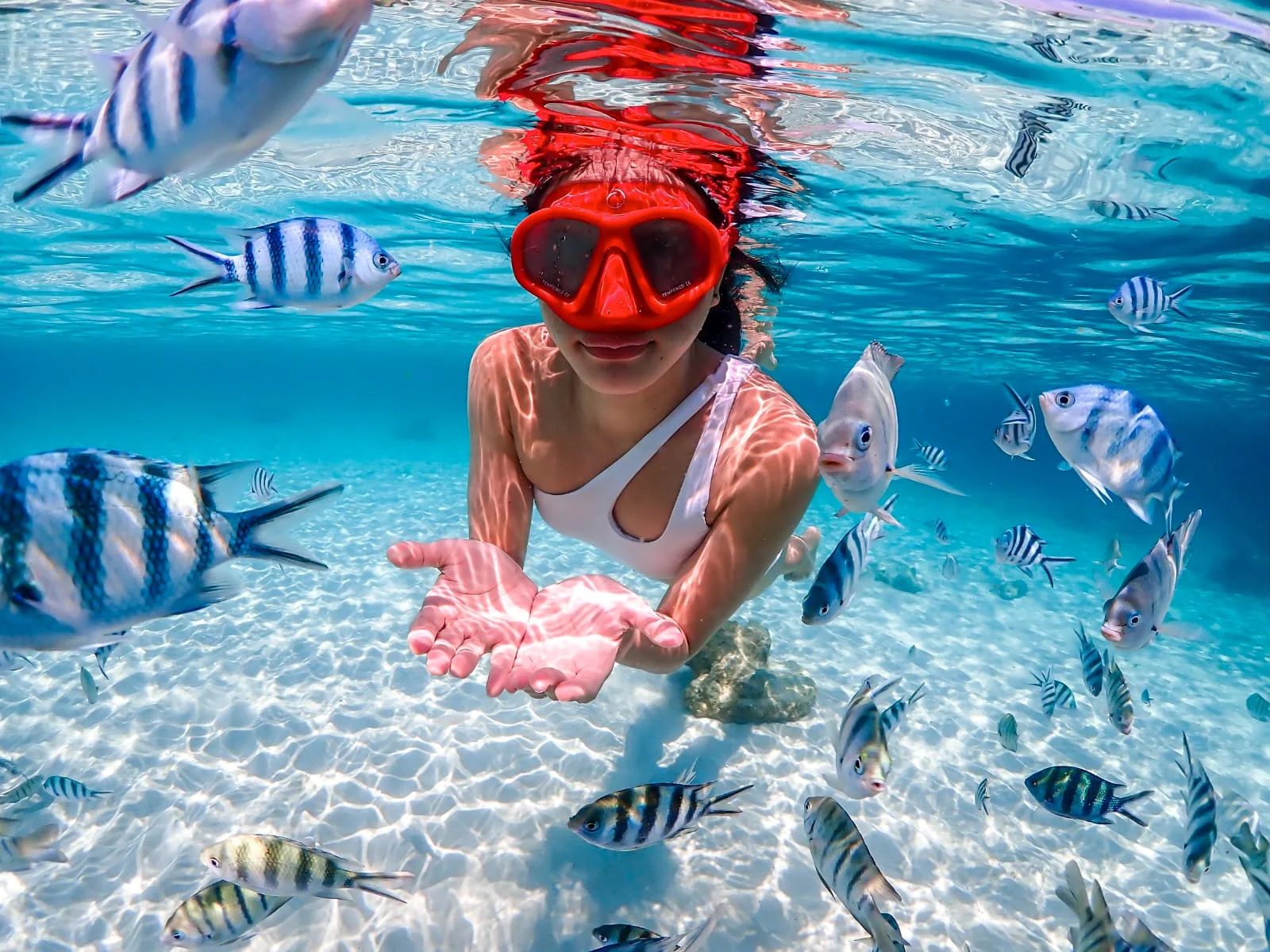 Nemo Snorkeling Tour by Private Speedboat from Pattaya Ticket