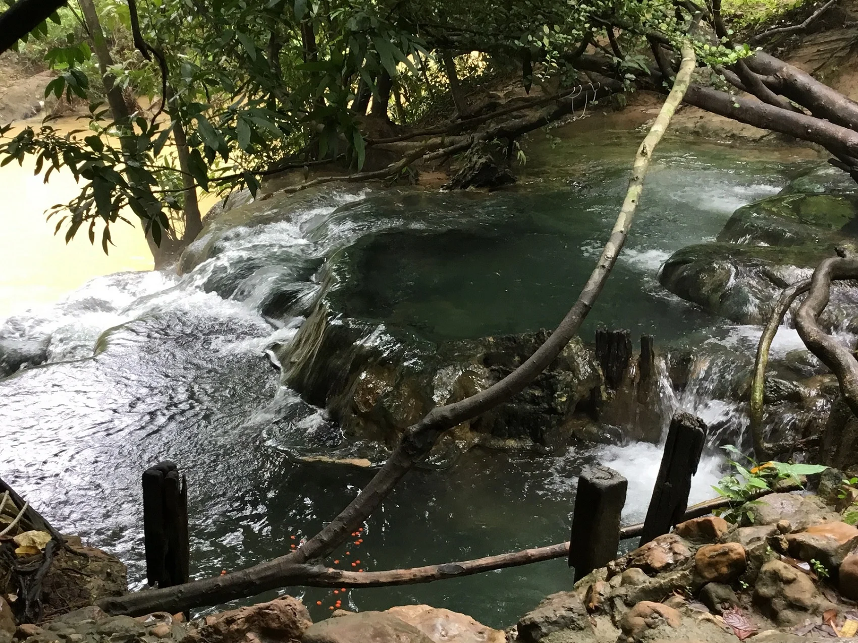 Emerald Pool In Krabi