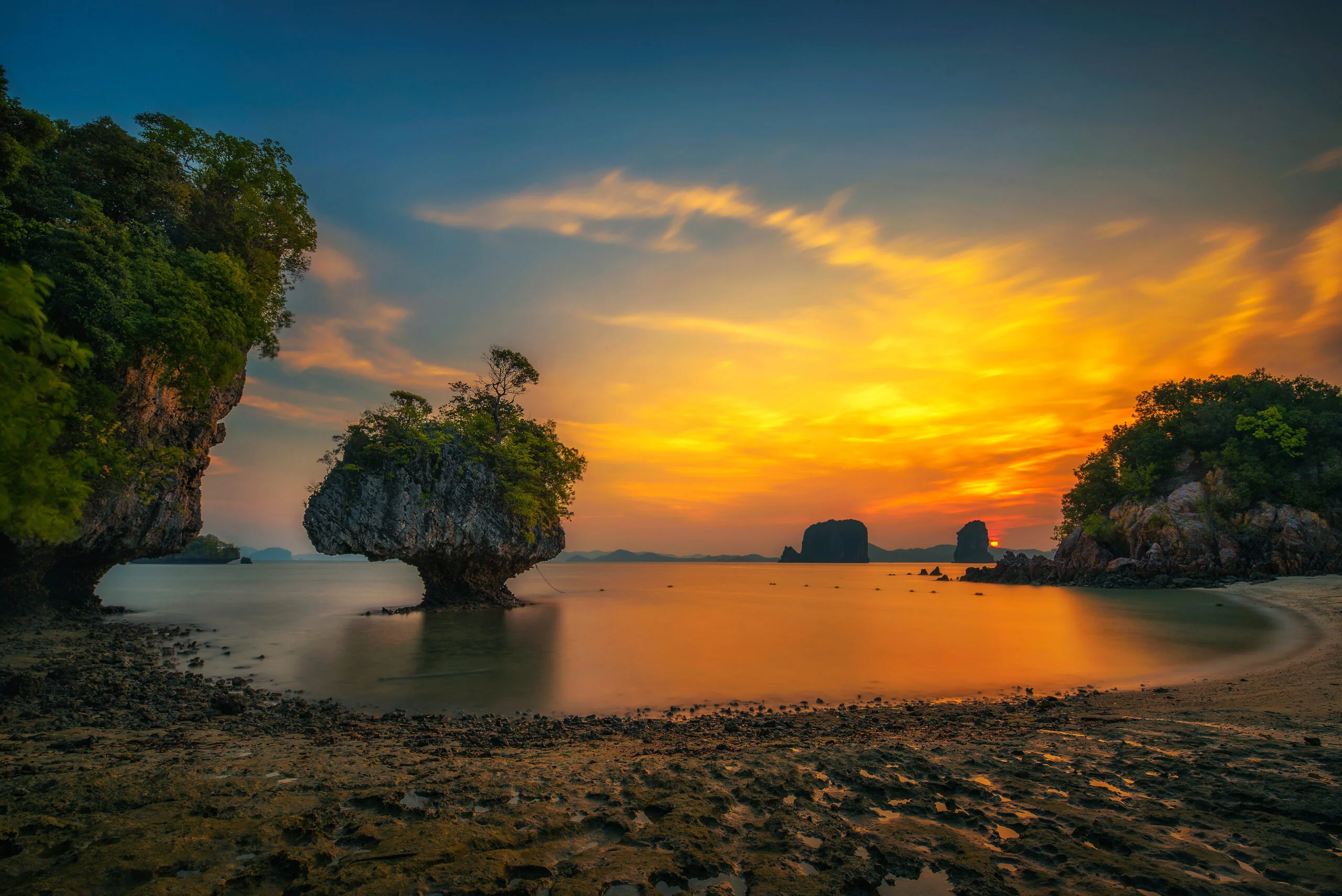 Hong Islands Sunset Bioluminescent plankton Tour From Krabi Ticket