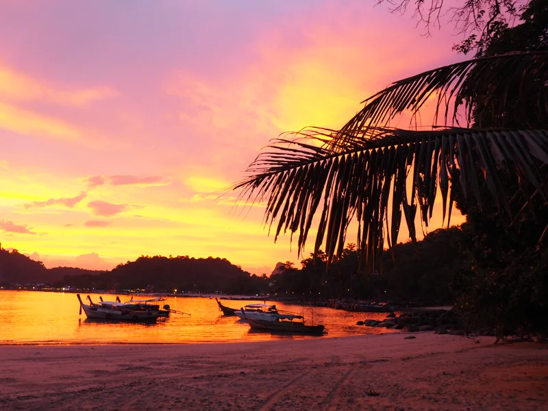 Phi Phi & 4 Island Sunset by Speed Boat Tour from Krabi Ticket