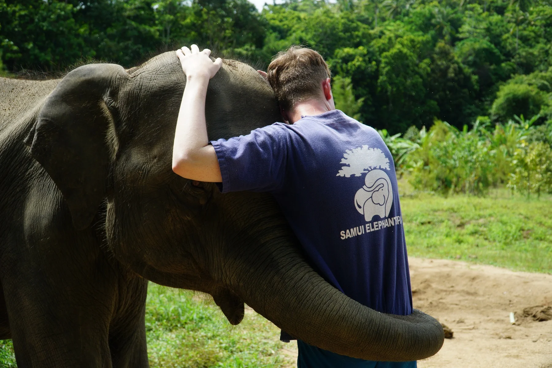 Samui Elephant Spa Ticket